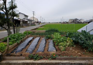 シンプル・イズ・ベスト