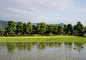 身近なとこから健康管理をはかりましょう♪