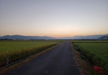 19期目も宜しくお願いいたします☆