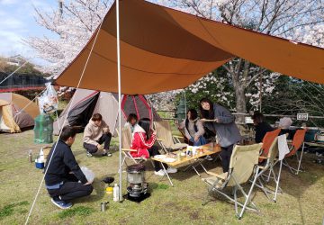 桜に囲まれたキャンプ場♪