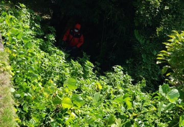 大掛かりな土手の草刈り作業が行われました！