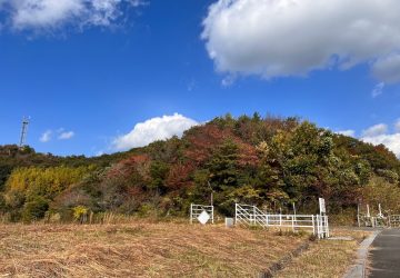 秋が深まってきました🍁