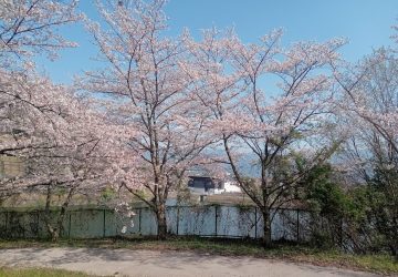 明日より新年度が始まります♪