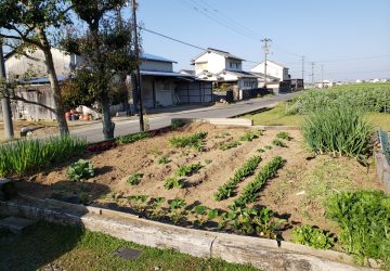 本当に必要なモノを必要な分だけ選びましょう♪