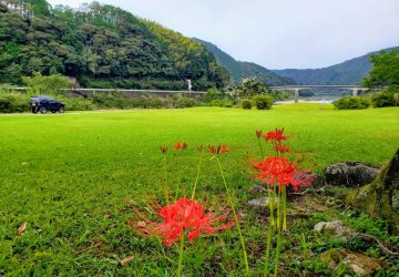 暑過ぎず寒過ぎずが大事☆