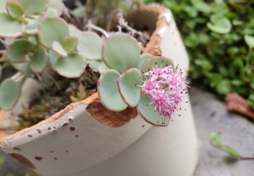 当たり前の毎日がなんだか豊かになる高性能住宅♪