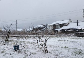 雪が降りましたね⛄️