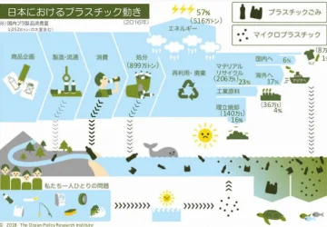 海の魚よりプラスチックごみが多くなる？