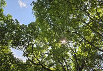 建物次第で空気も変えられます